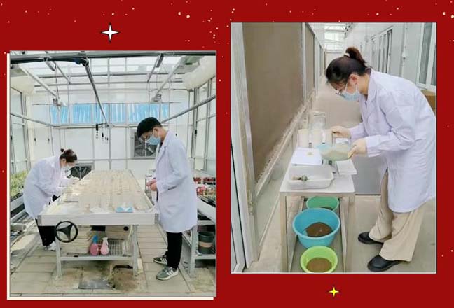 首页 - 欧博ABG集团官方网站